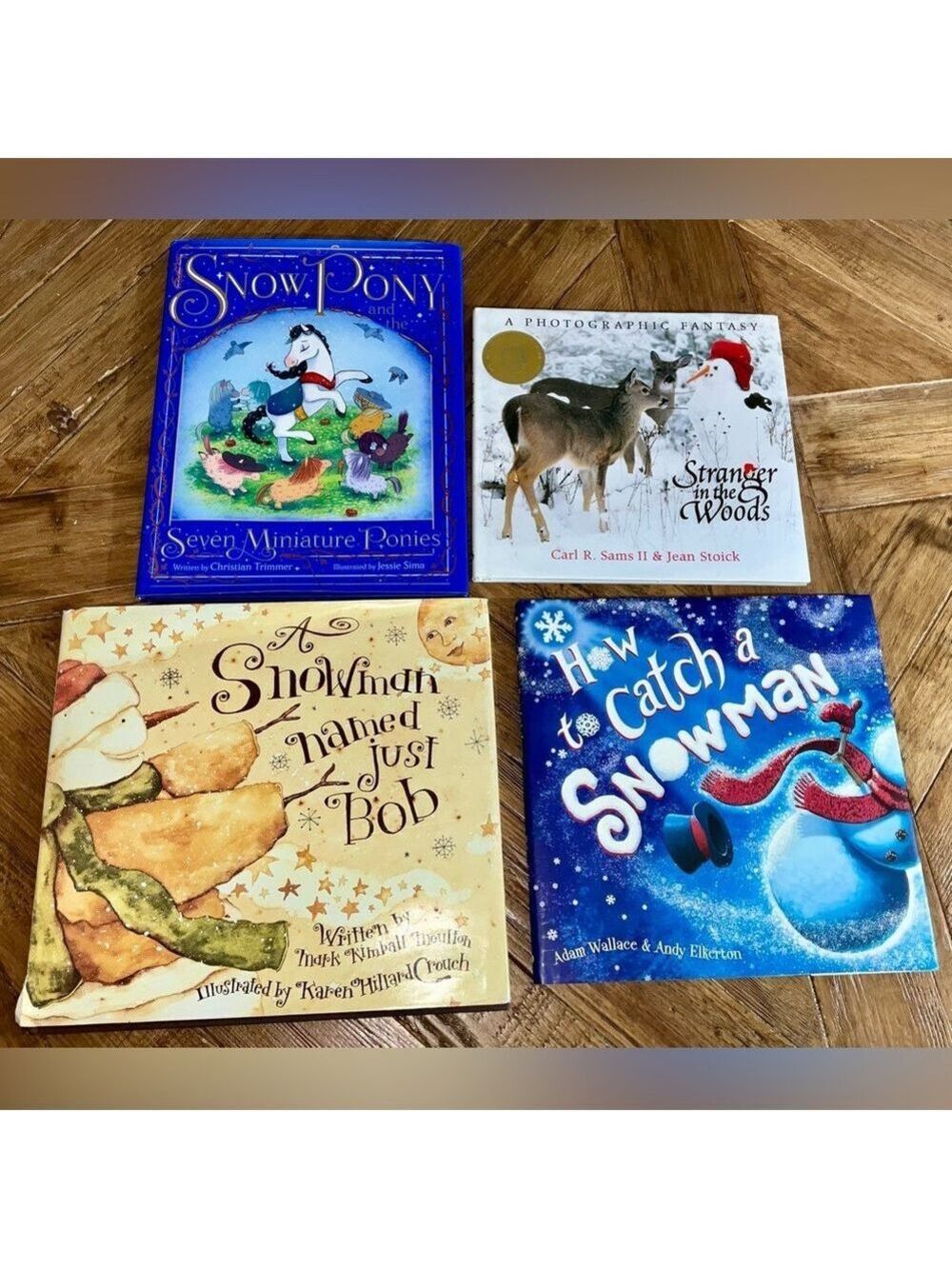 Winter themed books - 4 of them - snowmen, snow, deer, ponies